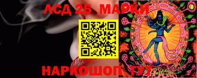 прущие грибы Кулебаки