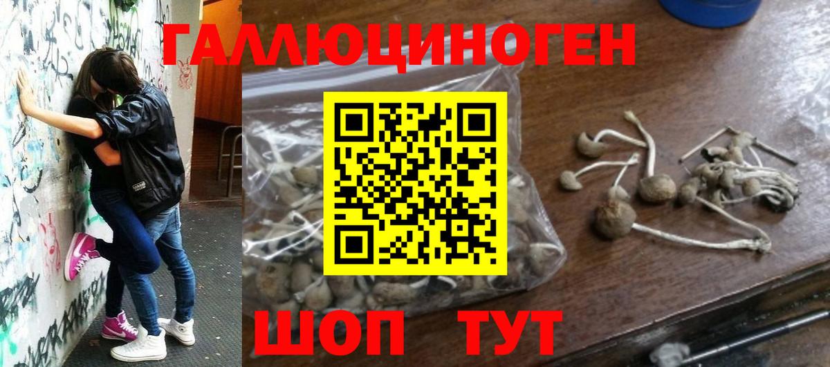 Галлюциногенные грибы мухоморы Зеленокумск