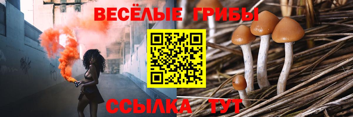 Конопля  Cocaine  Купить наркотик  Мефедрон   Гашиш  Зеленокумск  Вход с VPN 
